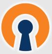 openvpn